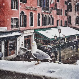 Venice in Winter © Anne Seubert