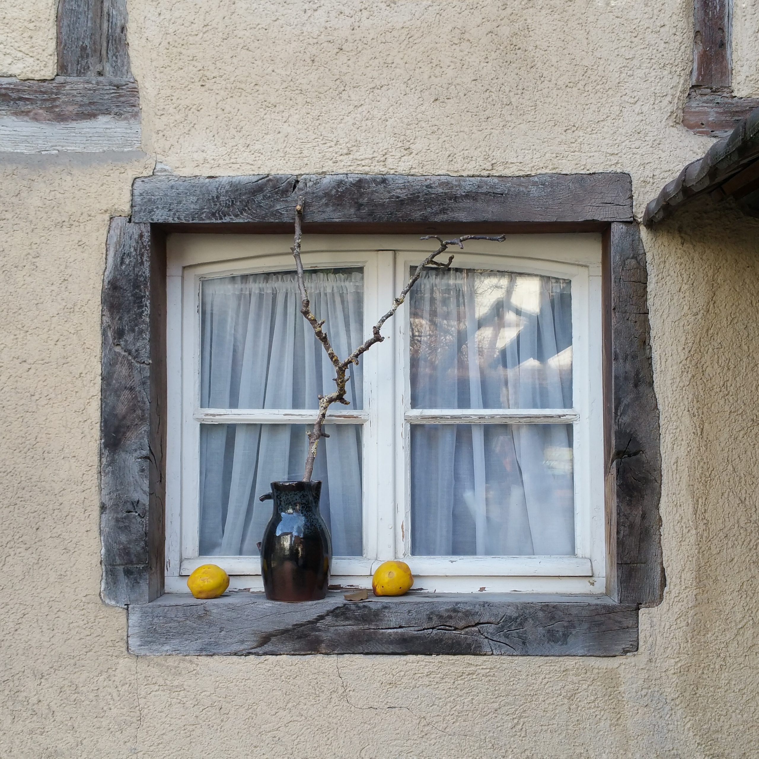 Fenster | © Anne Seubert