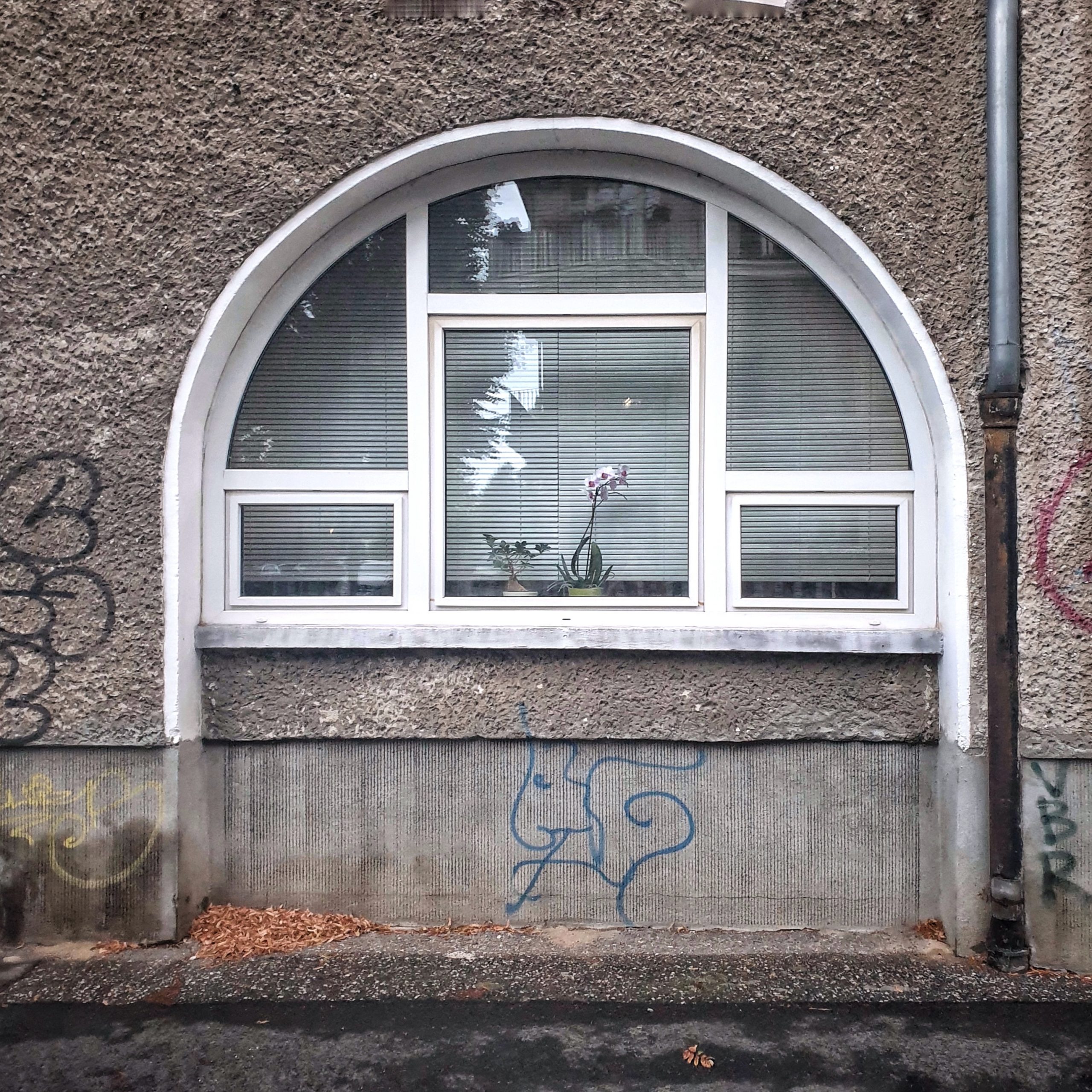 Fensterplatz | Anne Seubert