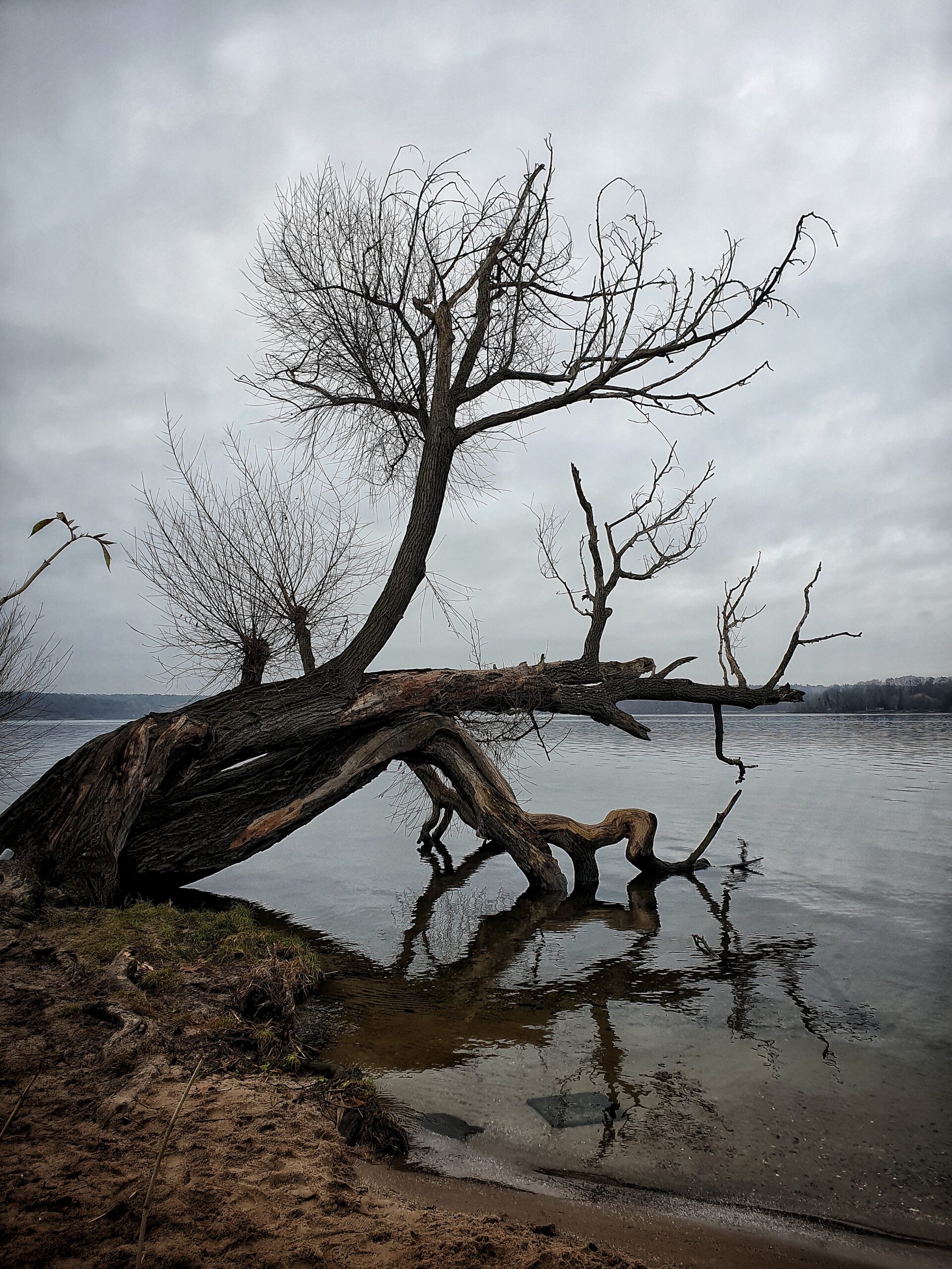Mach die Augen nochmal zu und... | Anne Seubert